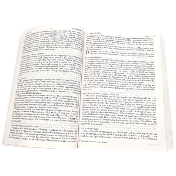 The Daily Life Bible LARGE PRINT EDITION Easy To Read Common English Bible - Picture 10 of 16